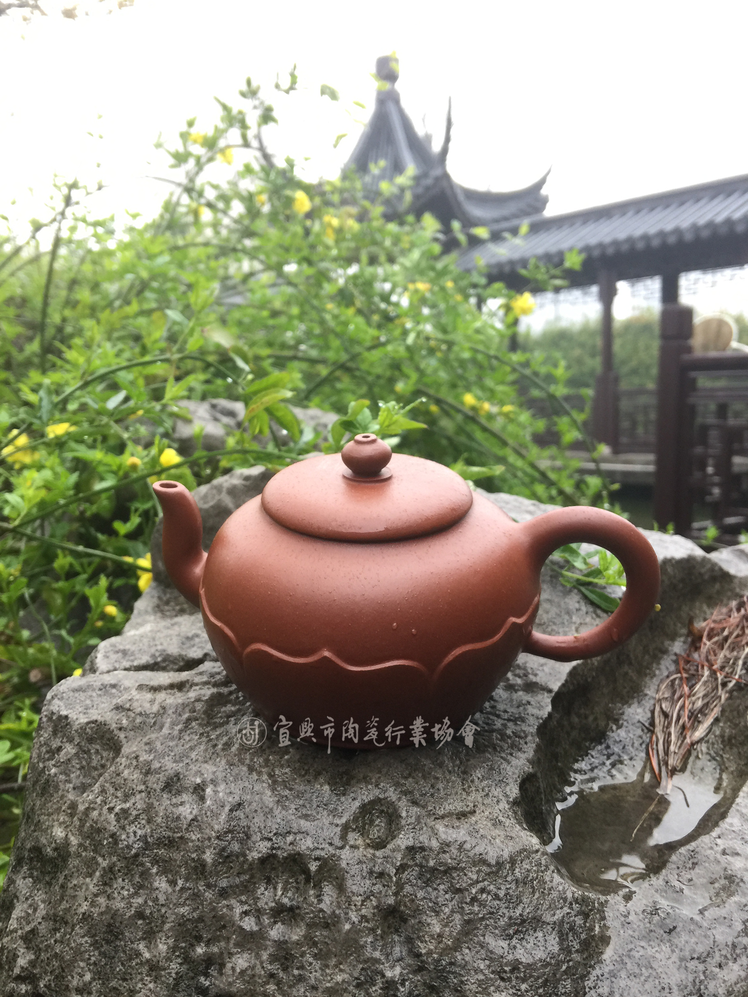 玉菱.jpg