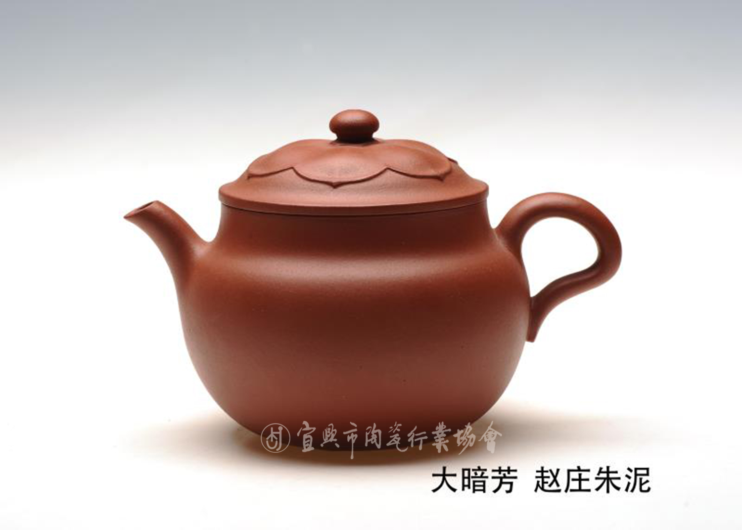 大暗芳.jpg