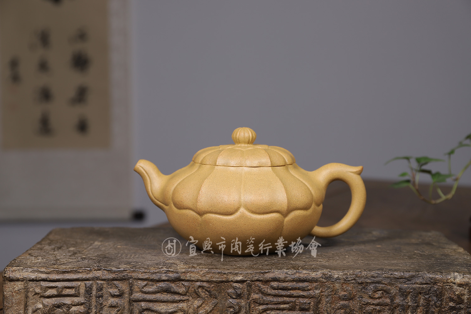合菱 1.jpg