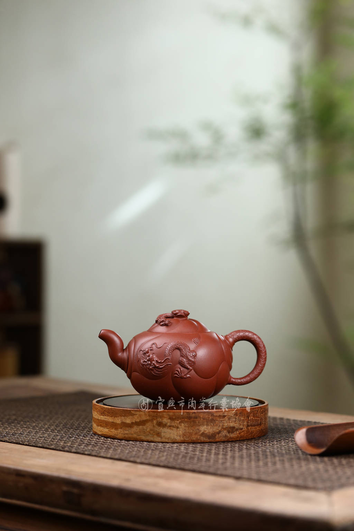 鱼化龙.jpg