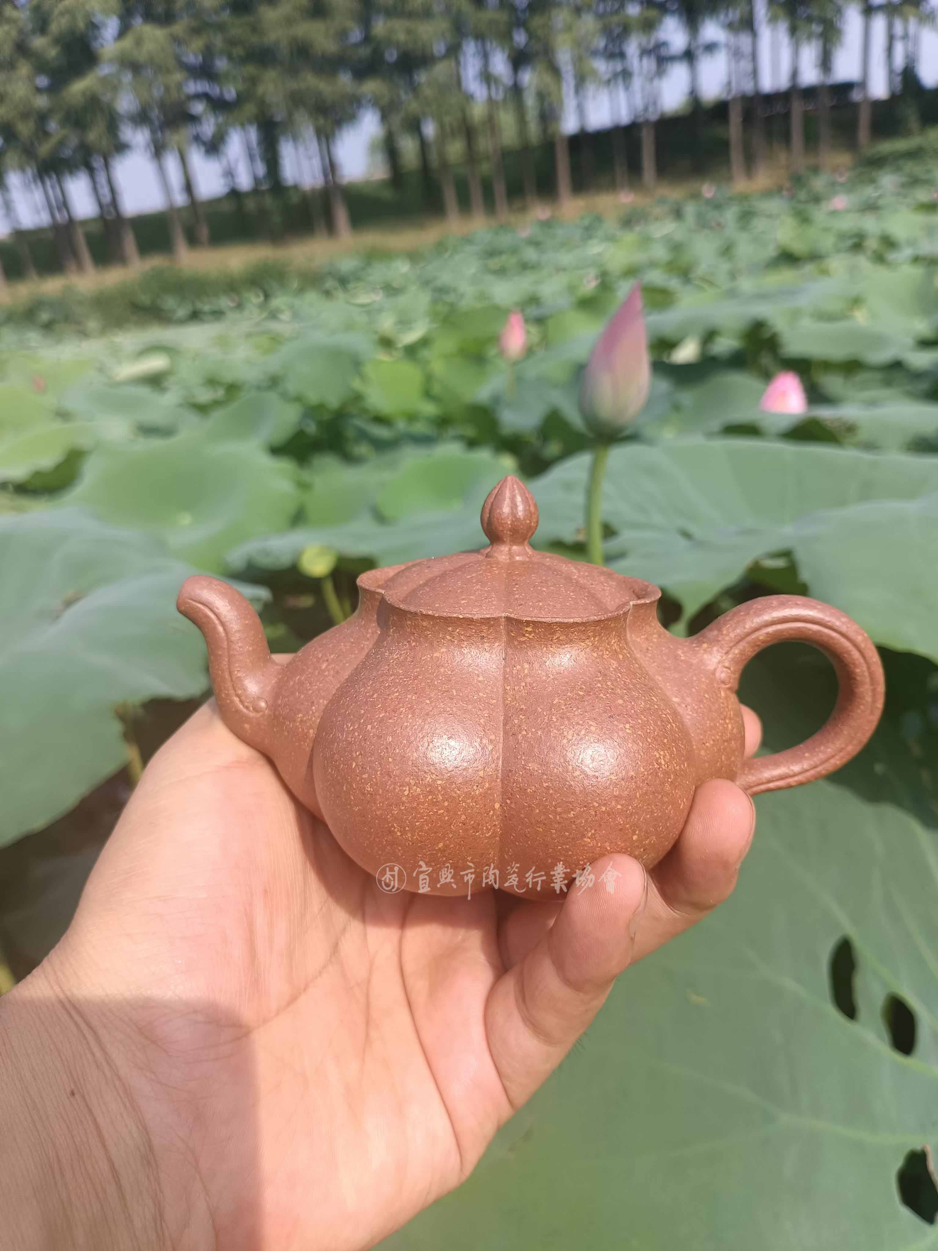 1735873414962762.jpg 微信图片_20250103083512.jpg