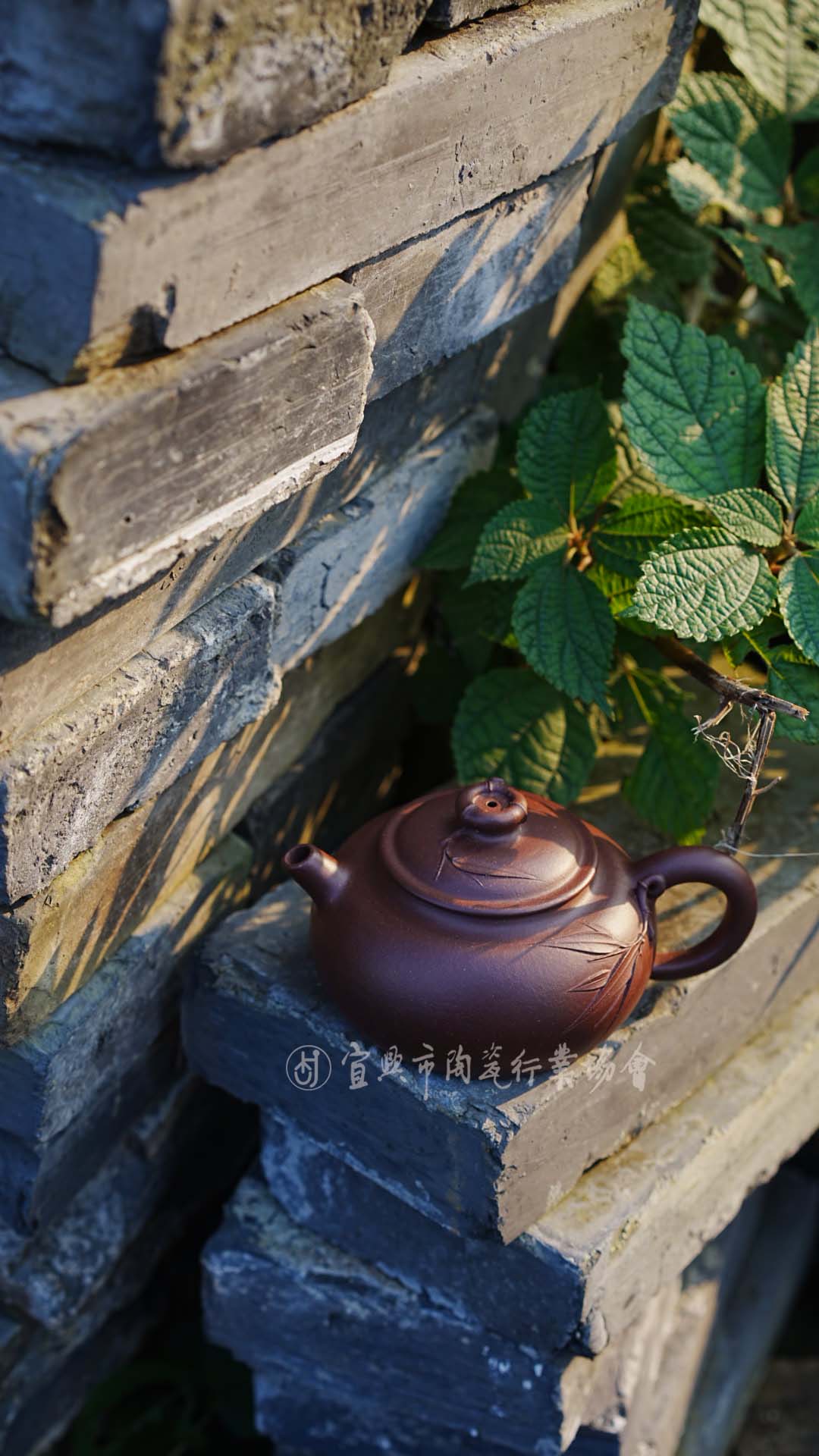 微信图片_20250120161203.jpg