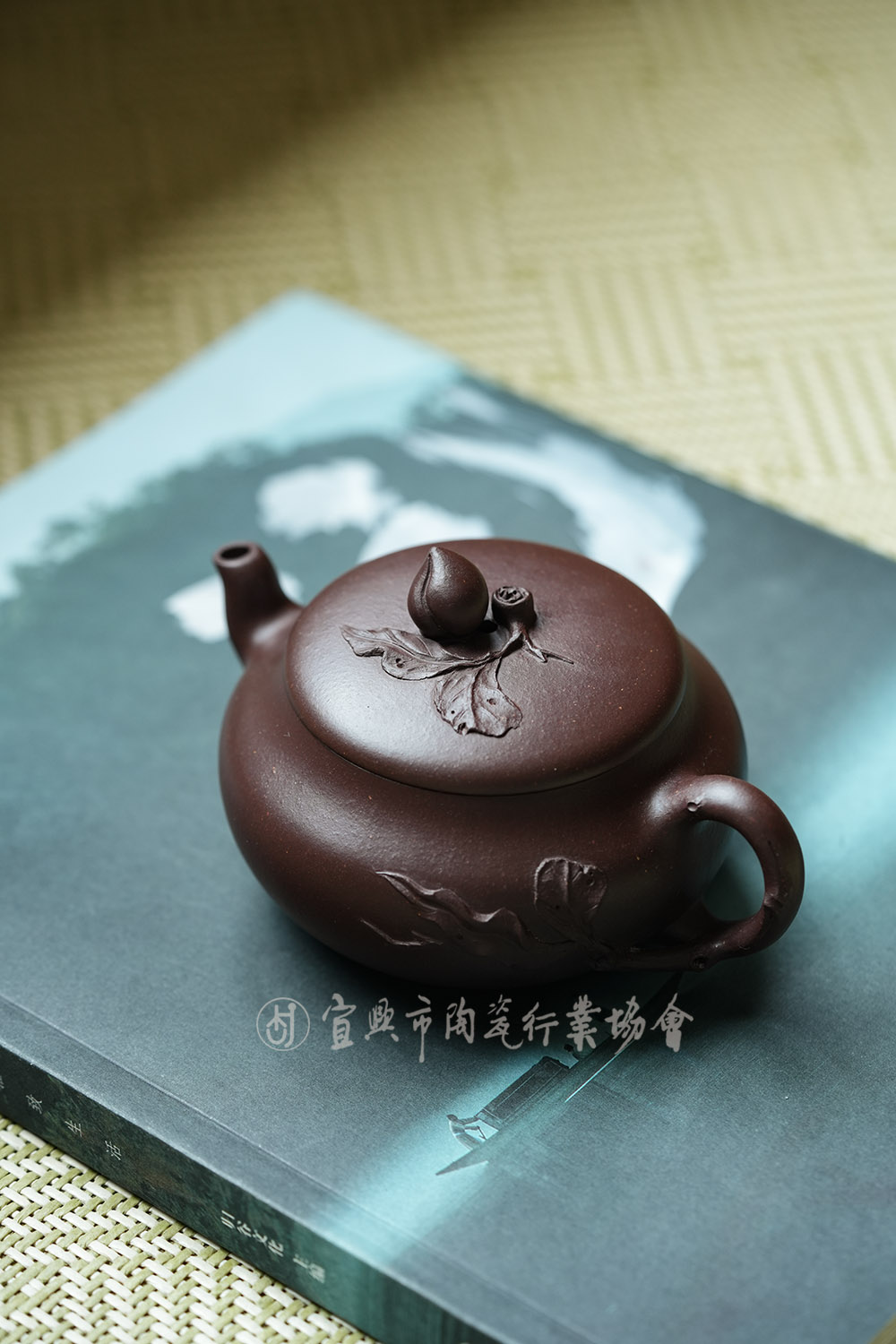 微信图片_20250315135721.jpg