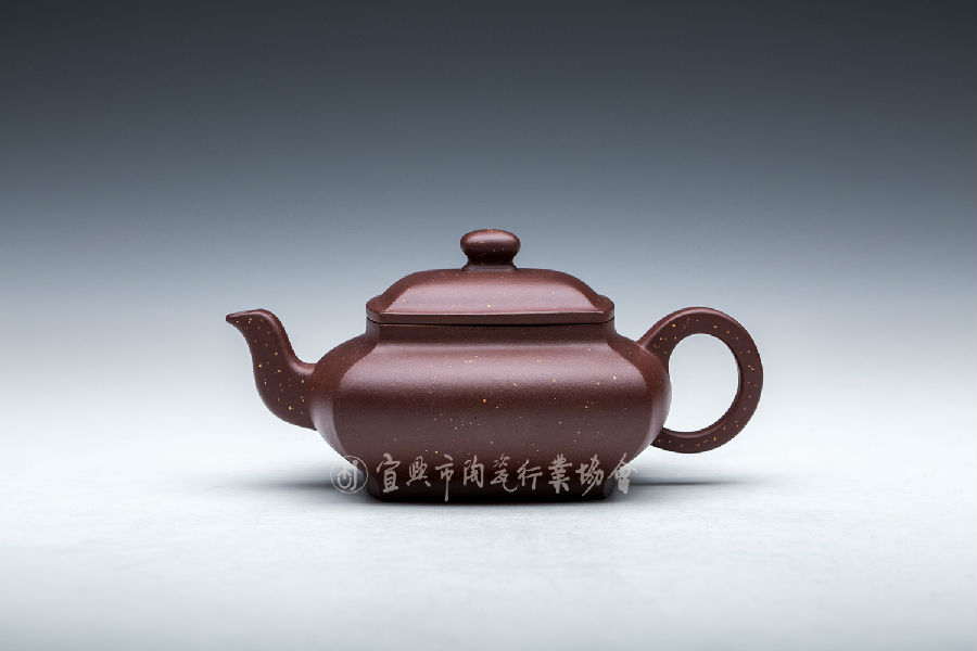 踏雪寻芳2.jpg