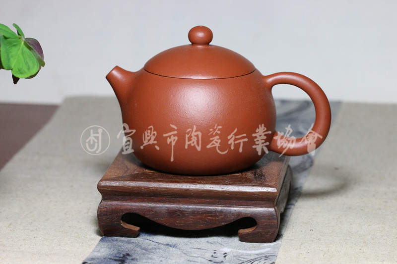 西施.JPG