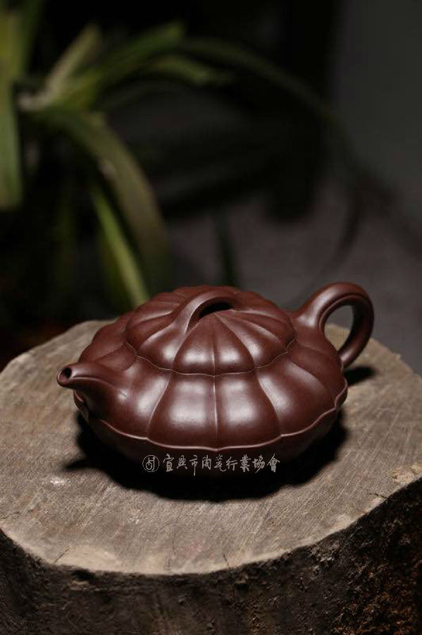 合菱2.jpg