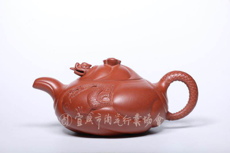 鱼化龙.JPG